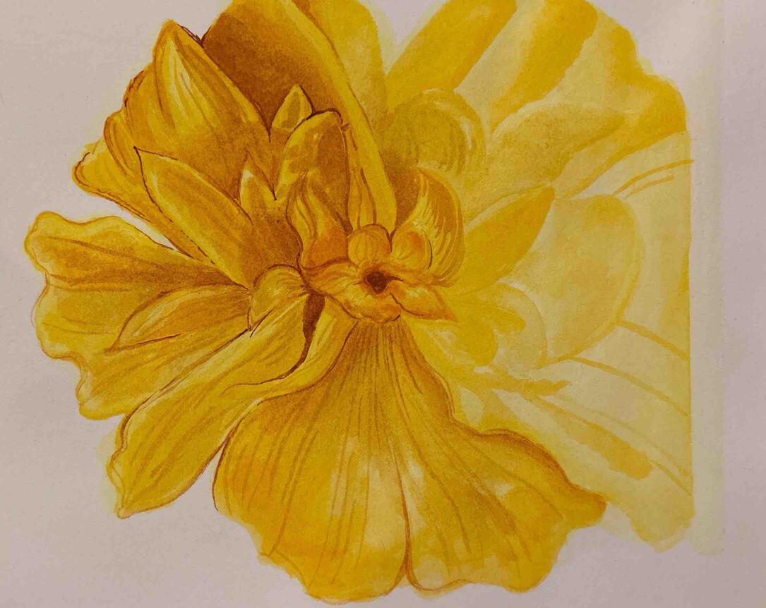 Watercolor Study